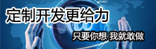 各類web應用程序定制開發